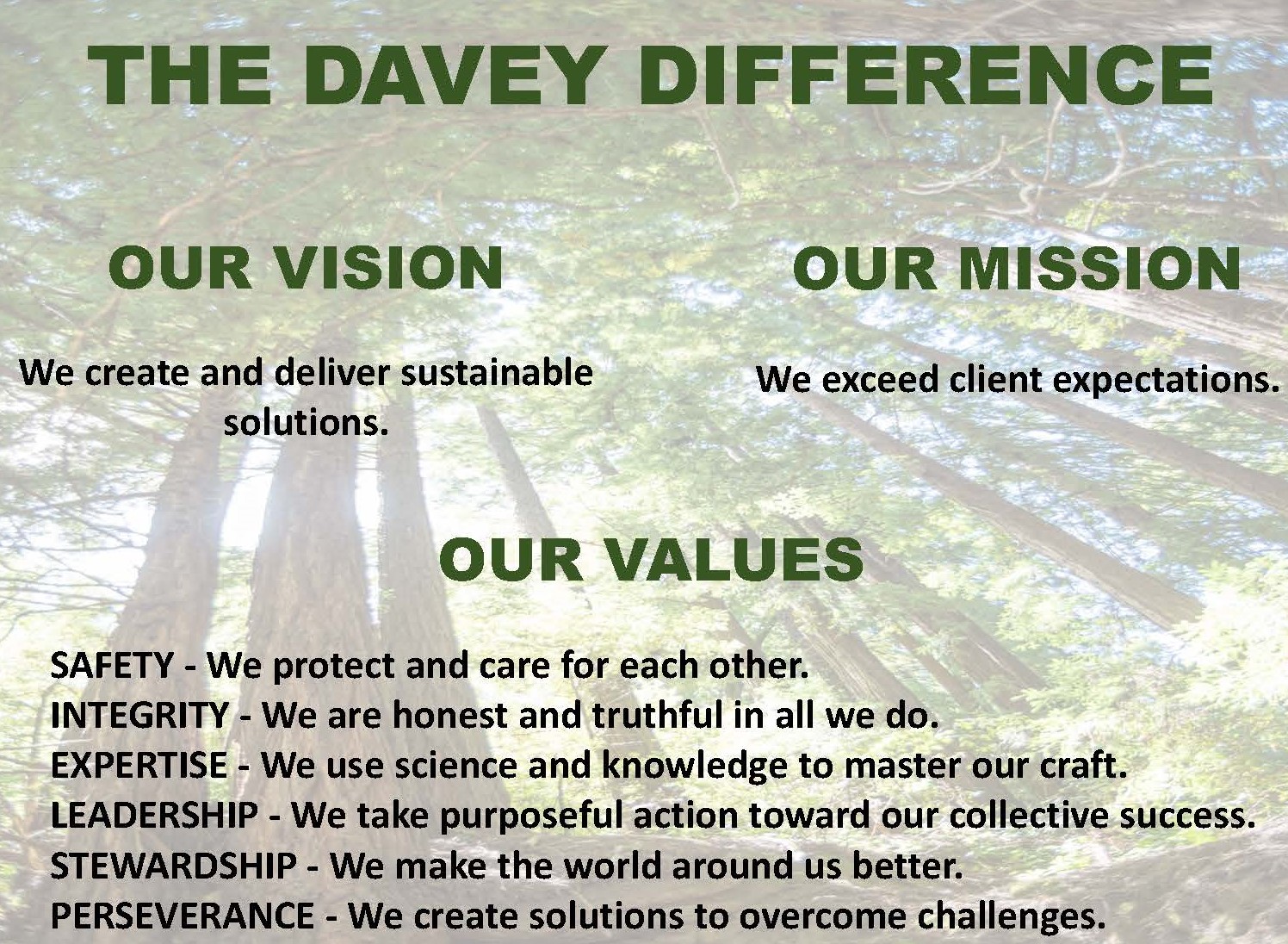 thedaveydifference-greenfo.jpg